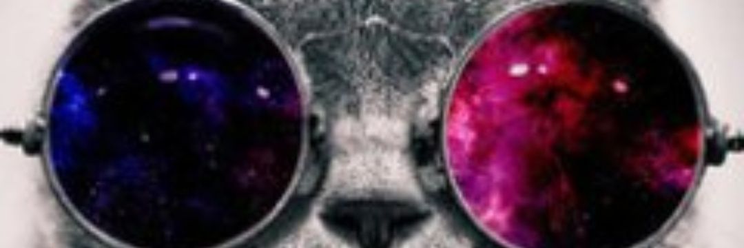 nekota_minoru's profile banner image