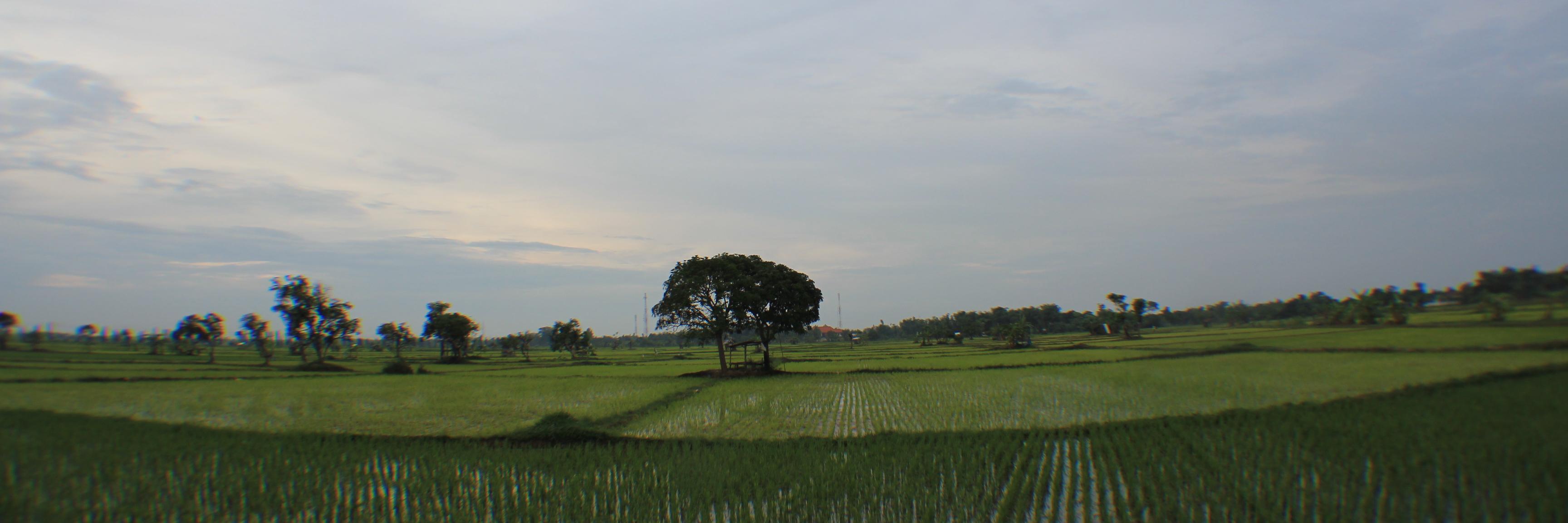 Explore Tuban (@ExploreTuban) / Posts / X