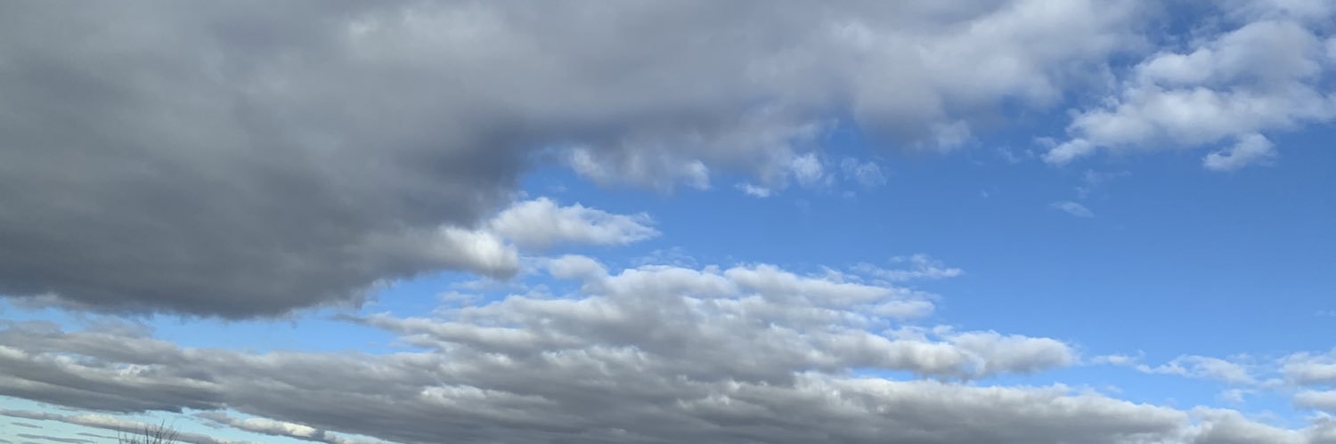 Yolana N. #BGSSW banner