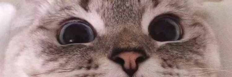 Dagirl_Celine's profile banner image