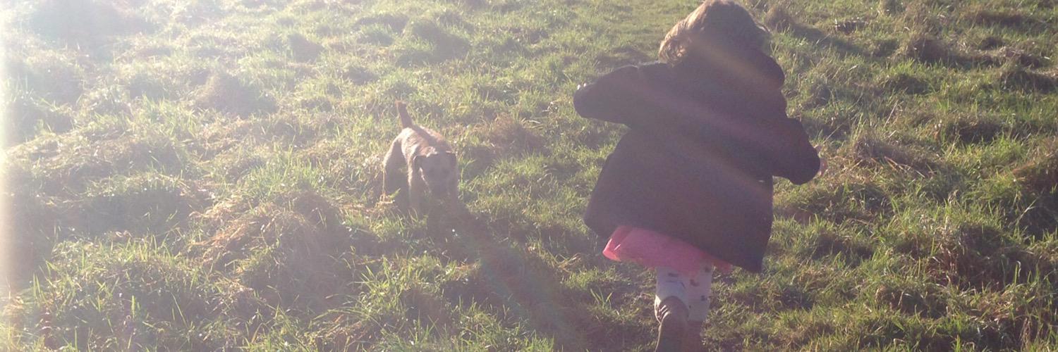 BrightonPooch's profile banner image