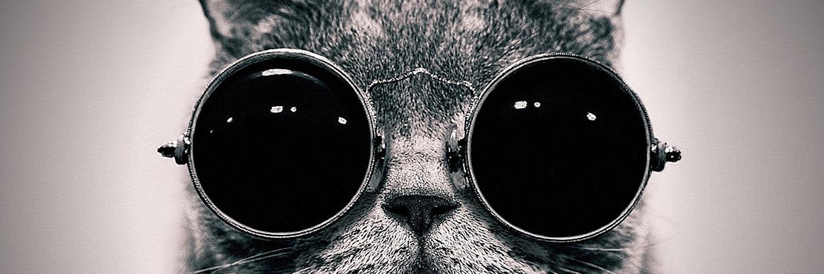 sashavicous's profile banner image