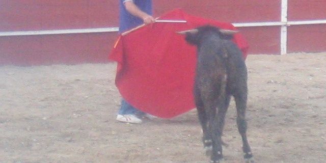 miguel escribano banner