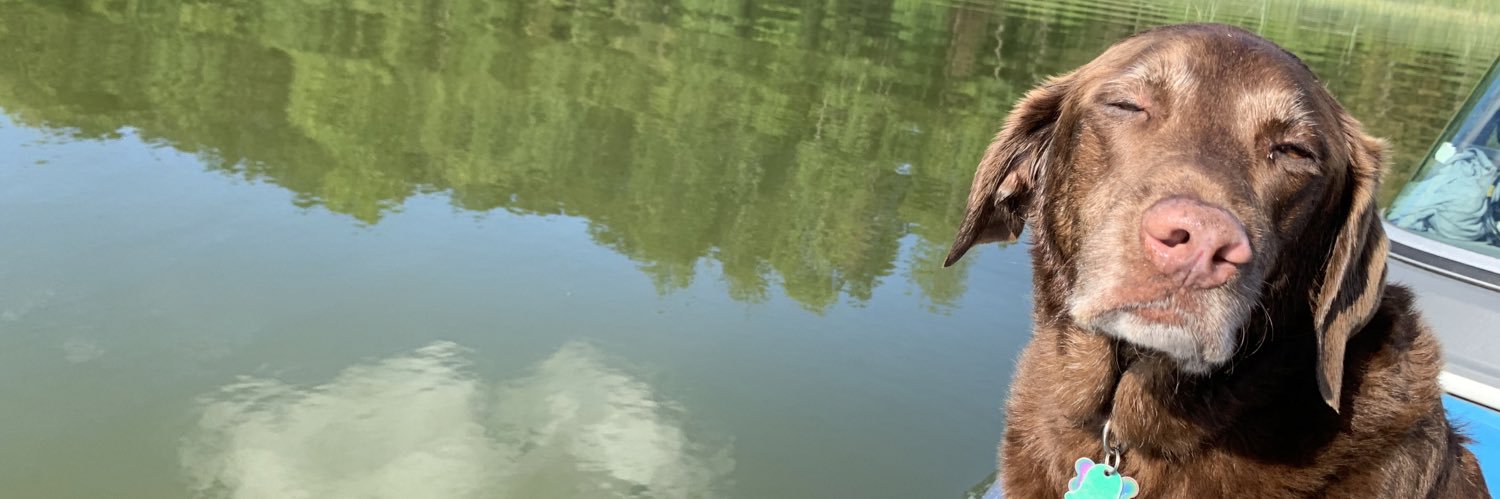 ChelseaHepler's profile banner image