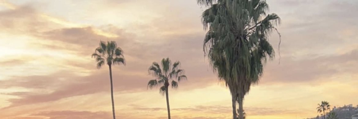 bvpage's profile banner image