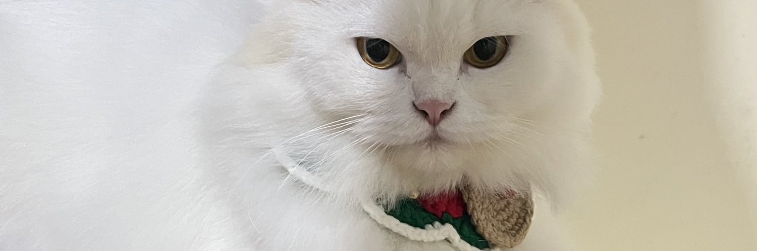 dellaadelliaa's profile banner image
