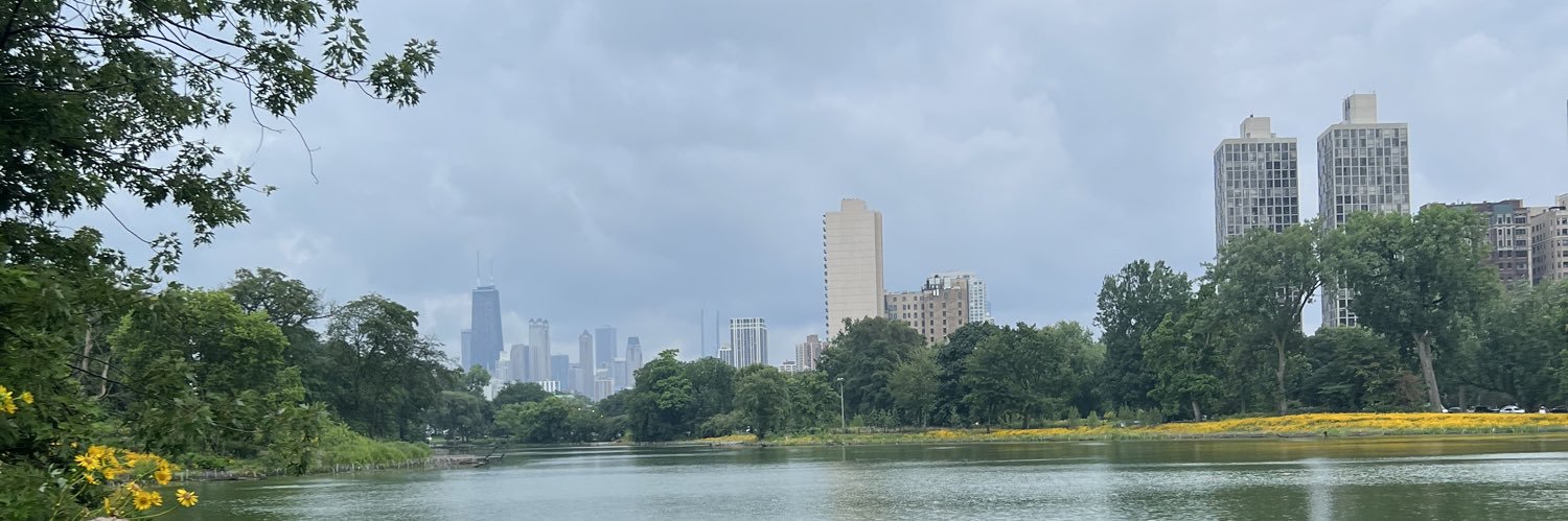 Chris Kim banner