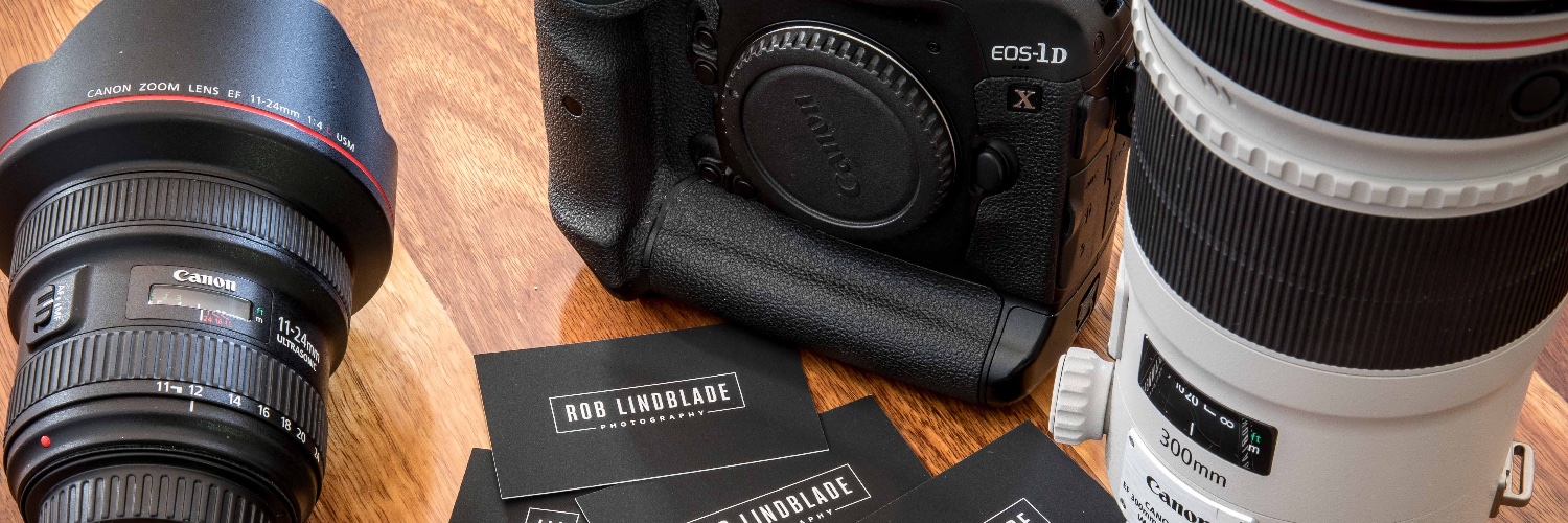 Rob Lindblade banner