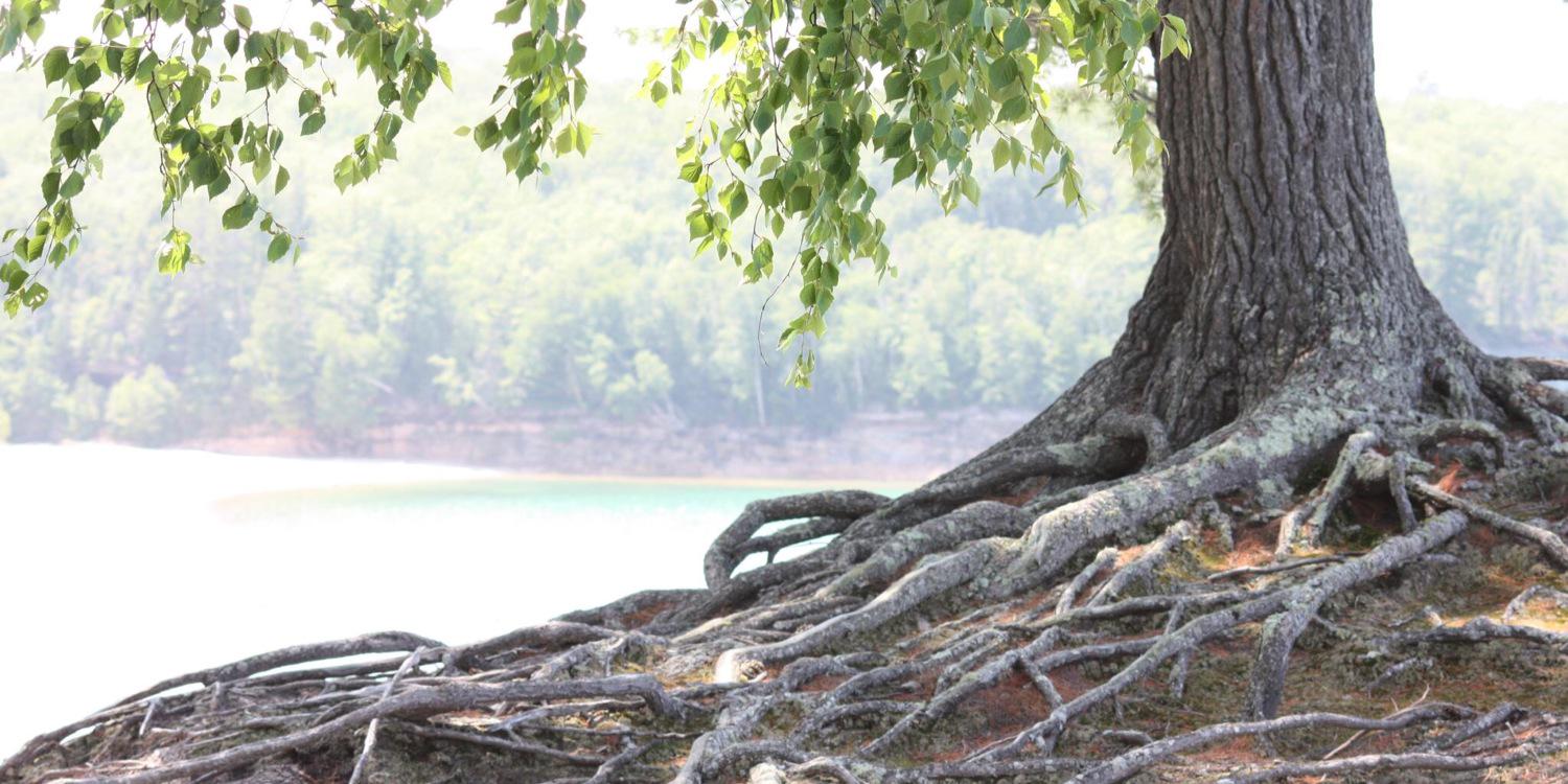 Stack_theStones's profile banner image