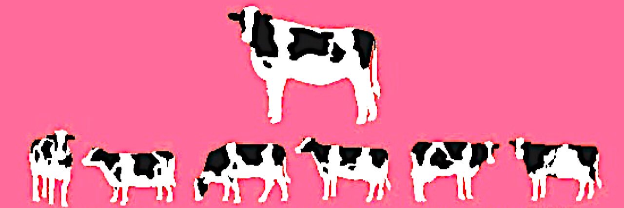ToshiMammoth's profile banner image