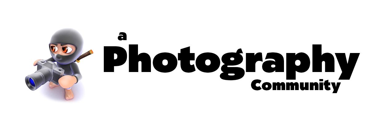 shutterobi's profile banner image