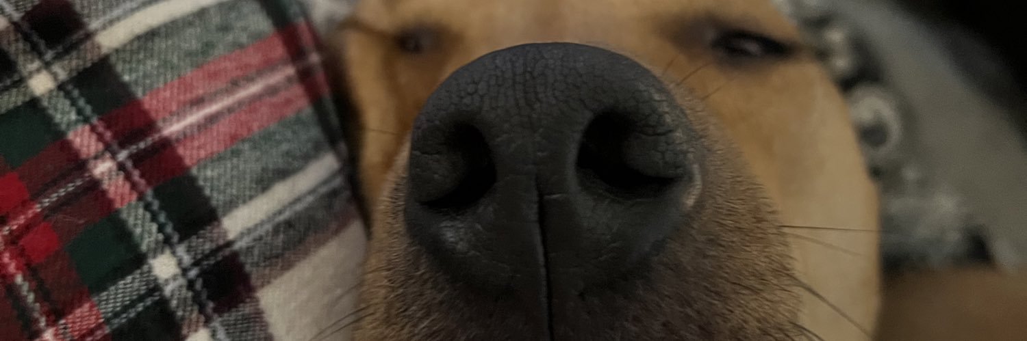 emilysperaa's profile banner image