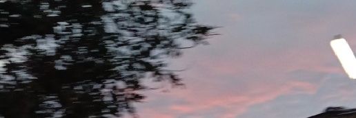 Kikiynuts's profile banner image