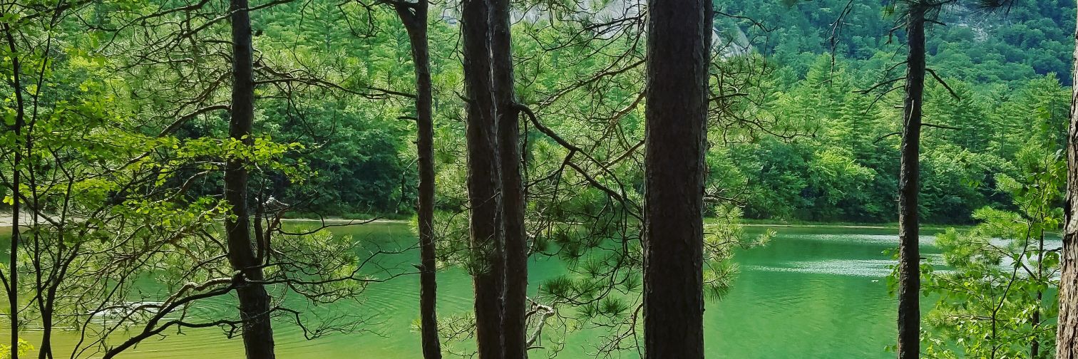 YourPr0blemNow's profile banner image