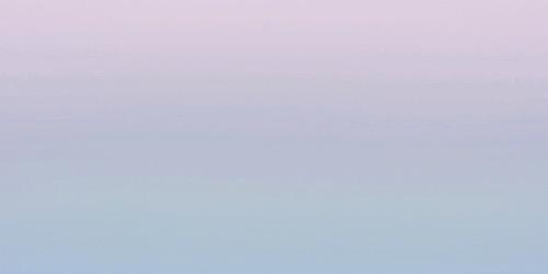 Emma banner