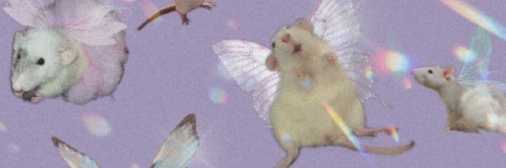 camicamimiau's profile banner image