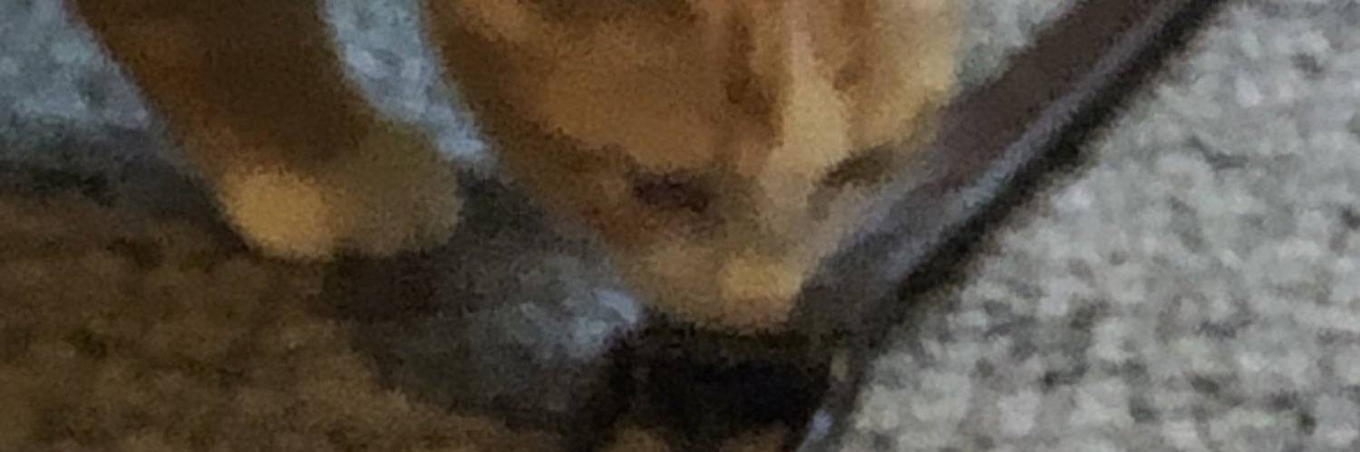 KalebCrum's profile banner image