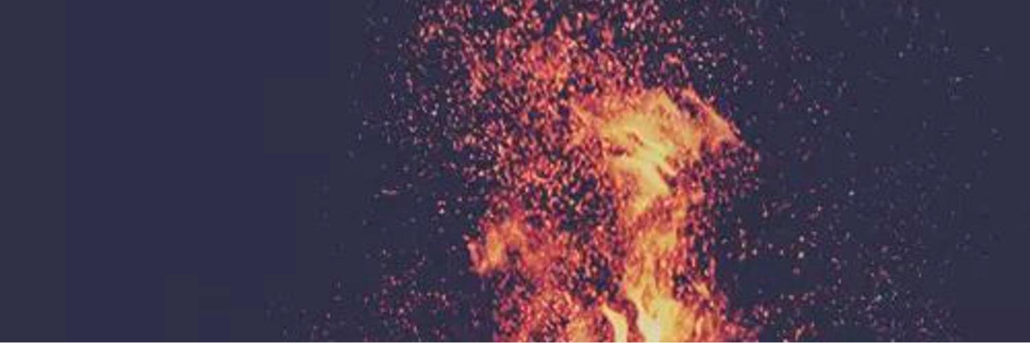 HxddenPhoenix's profile banner image