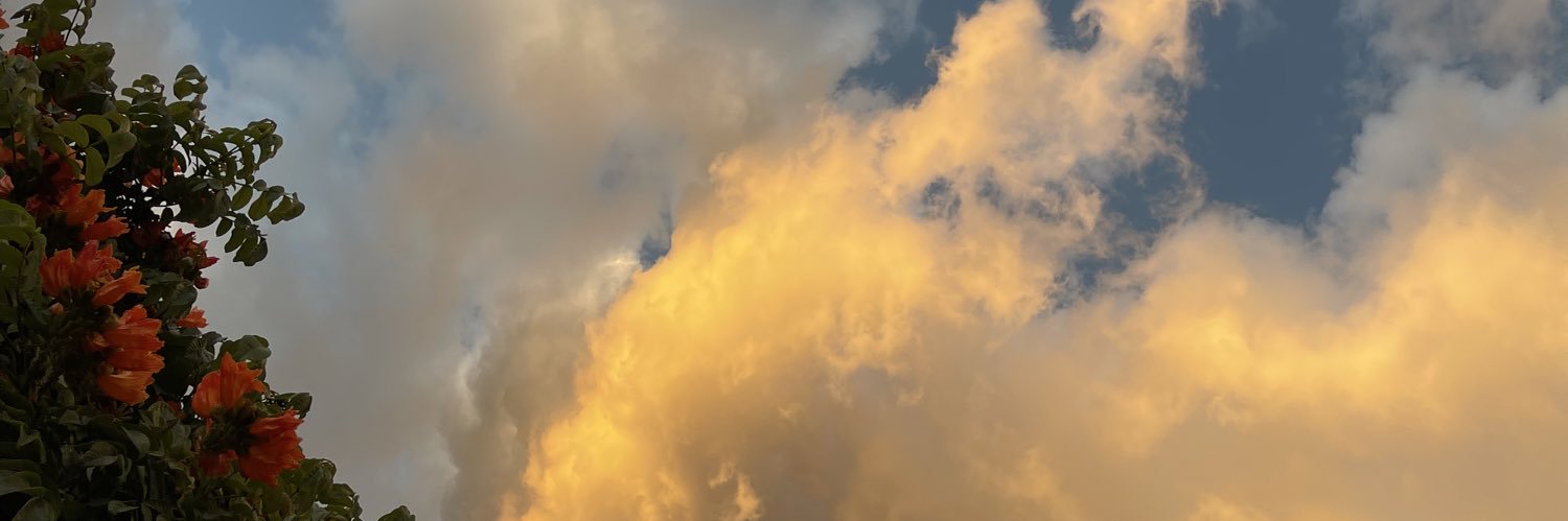 AniCano19's profile banner image