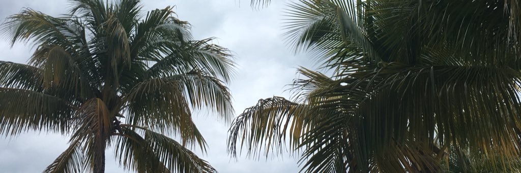 maquiin's profile banner image