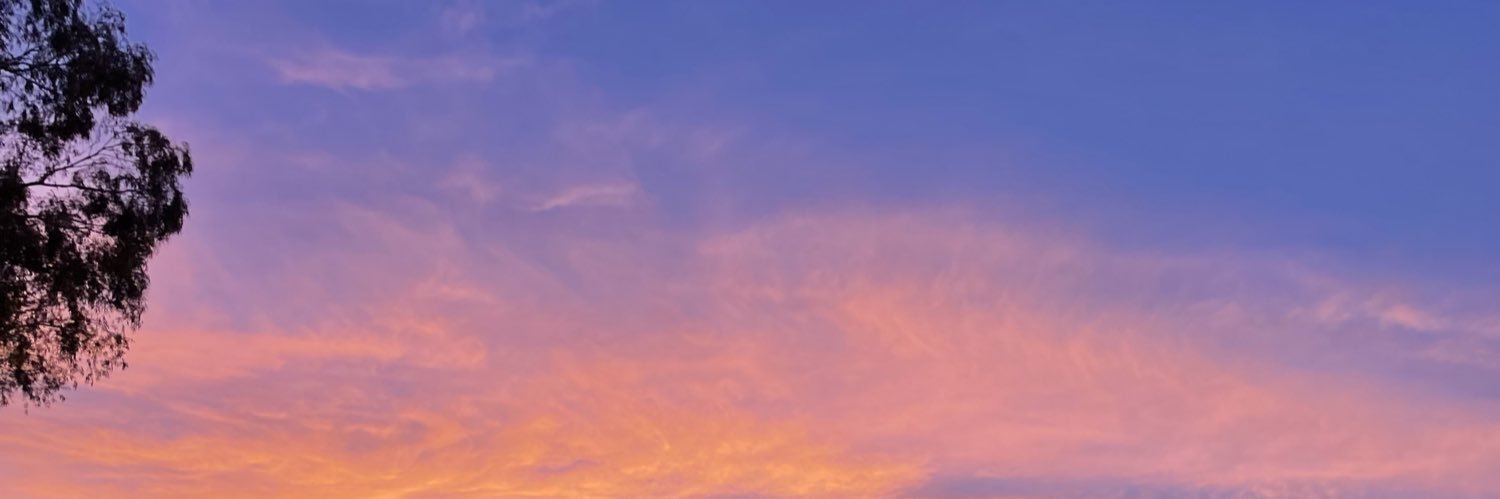 MaddyWorsham's profile banner image