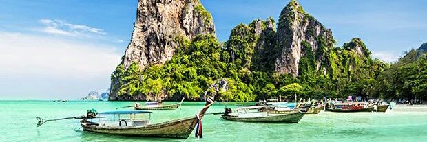 PETER 🐬 banner
