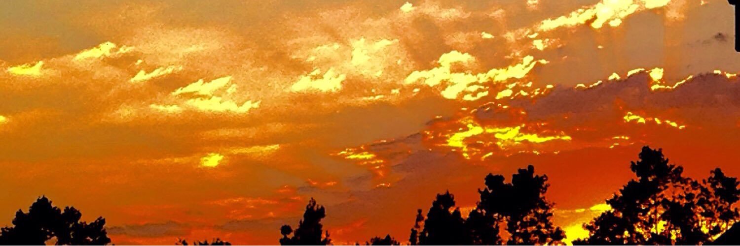 kelseygranz's profile banner image