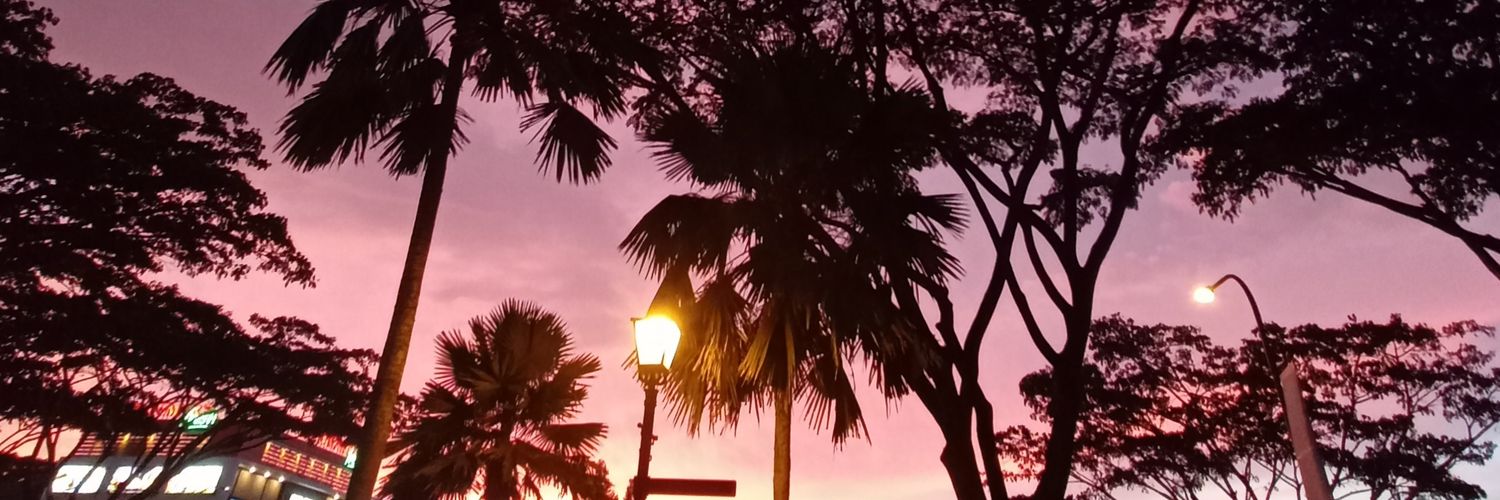 cucufafah's profile banner image