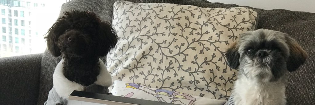 Joleena Teo ♕ banner