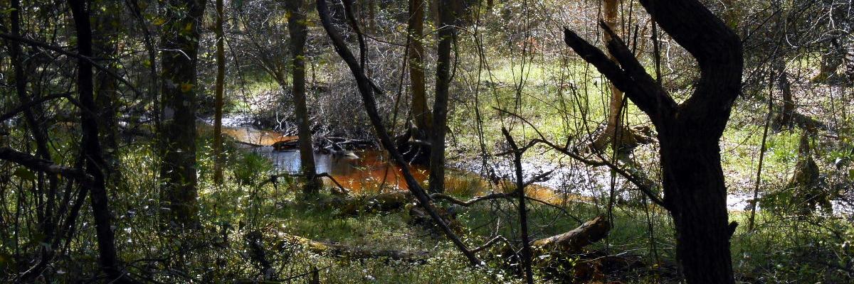 Al Holt | @RadioActiveAl.bsky.social banner