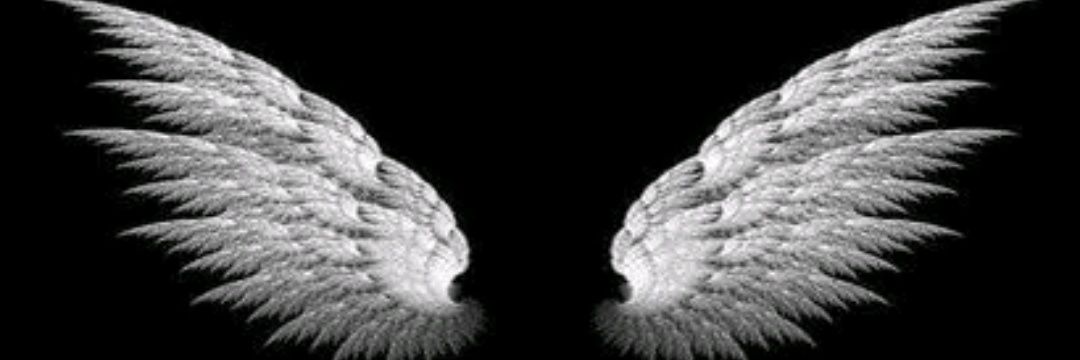 andaleeb5000's profile banner image