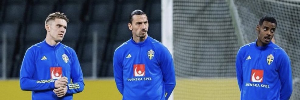 Te 🇸🇪's banner