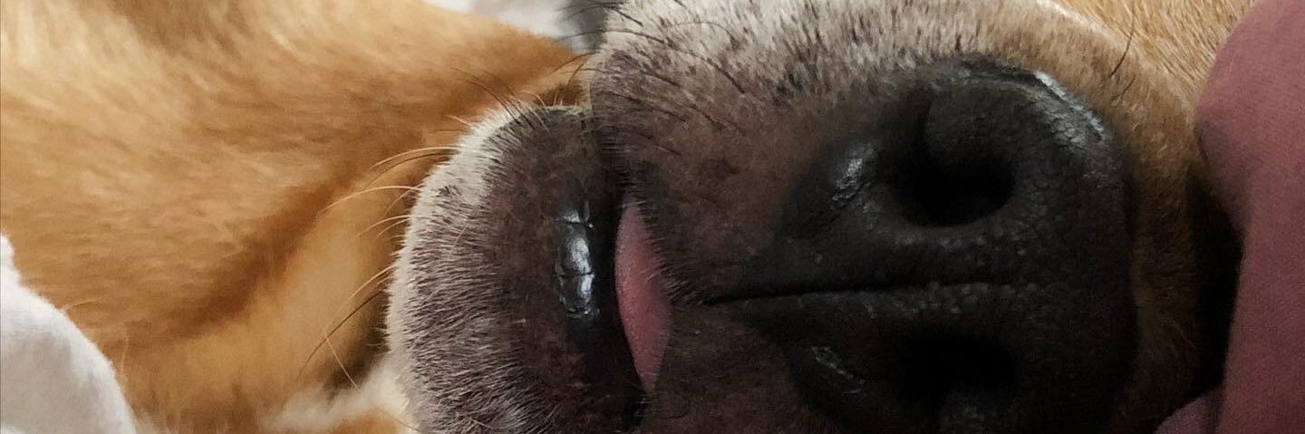 badgalmandyyy's profile banner image