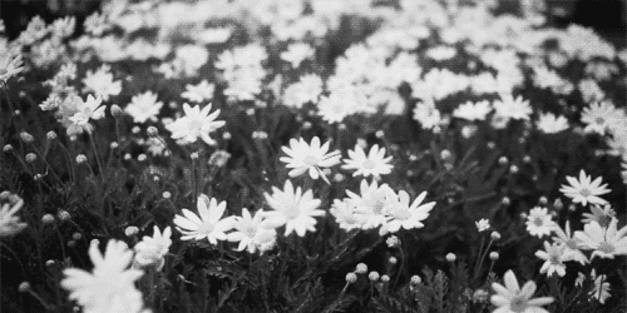 jaimestrawbie's profile banner image