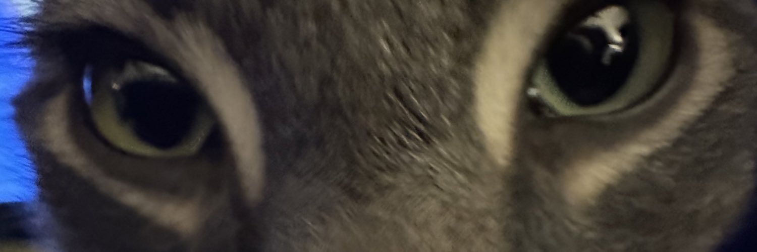 LobotomyLLarry's profile banner image