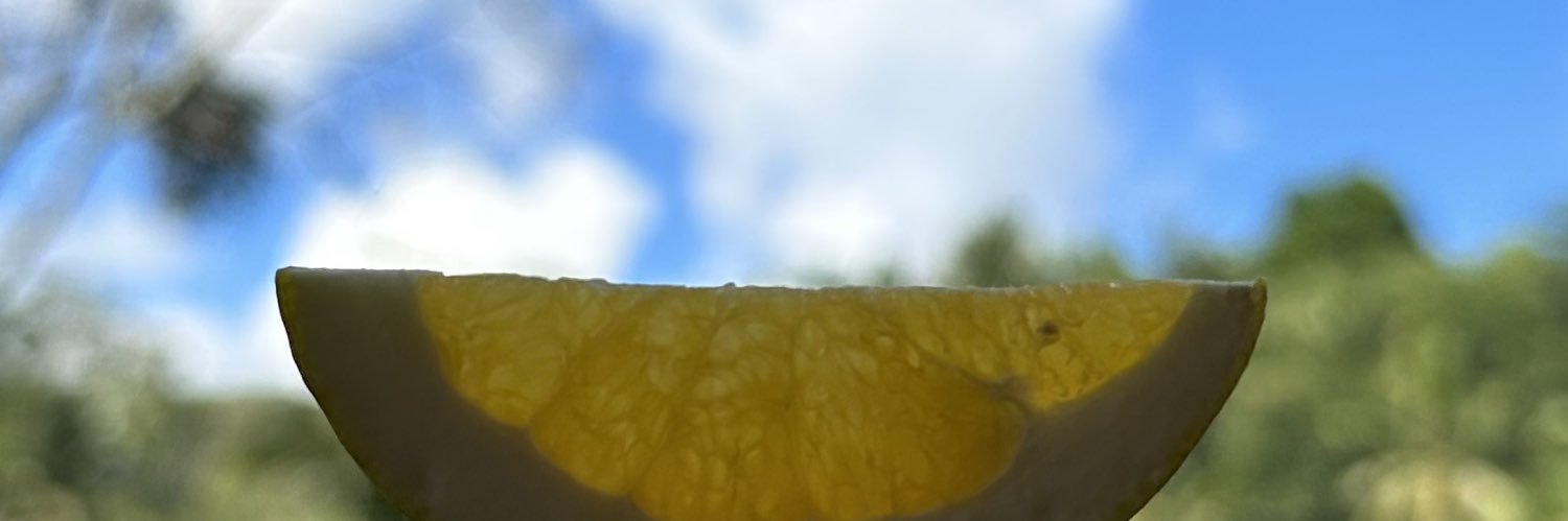 CempakaYK's profile banner image