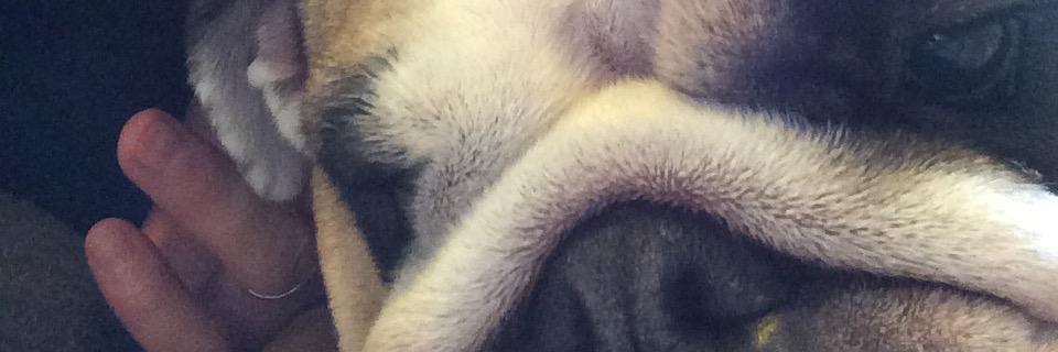 terryexton's profile banner image