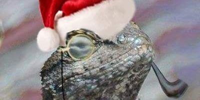 Lizard_Squad_TV's profile banner image