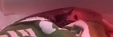 うろのこ banner