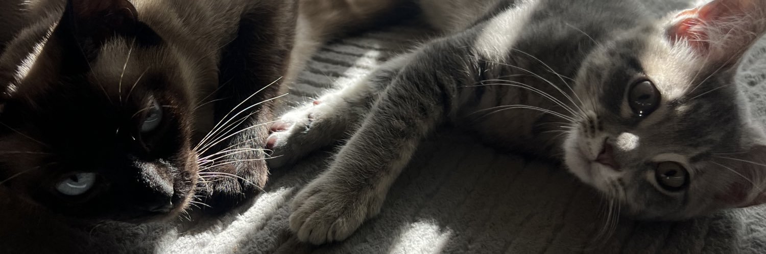 𝓣 banner