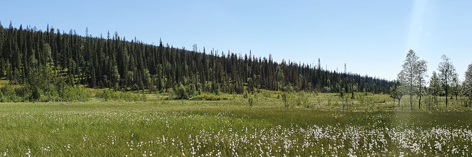 konstanupponen's profile banner image