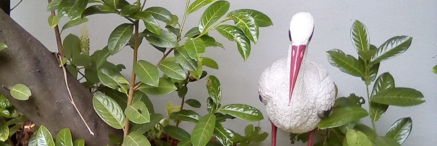 yoanne_yo's profile banner image