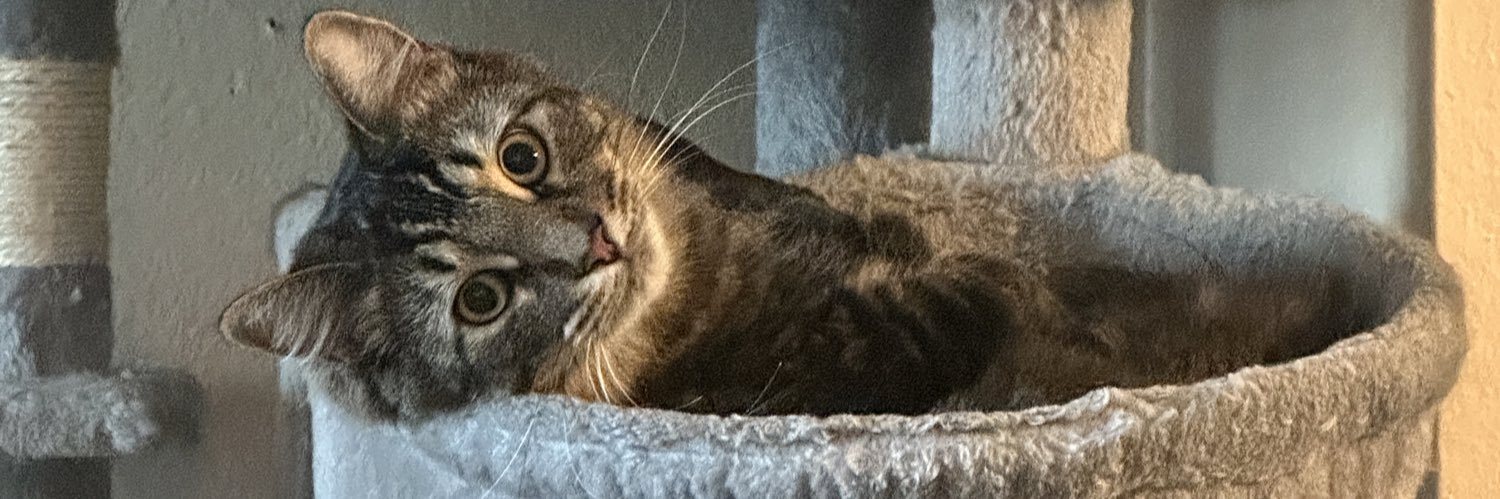 Big M ⚡️🫥 banner