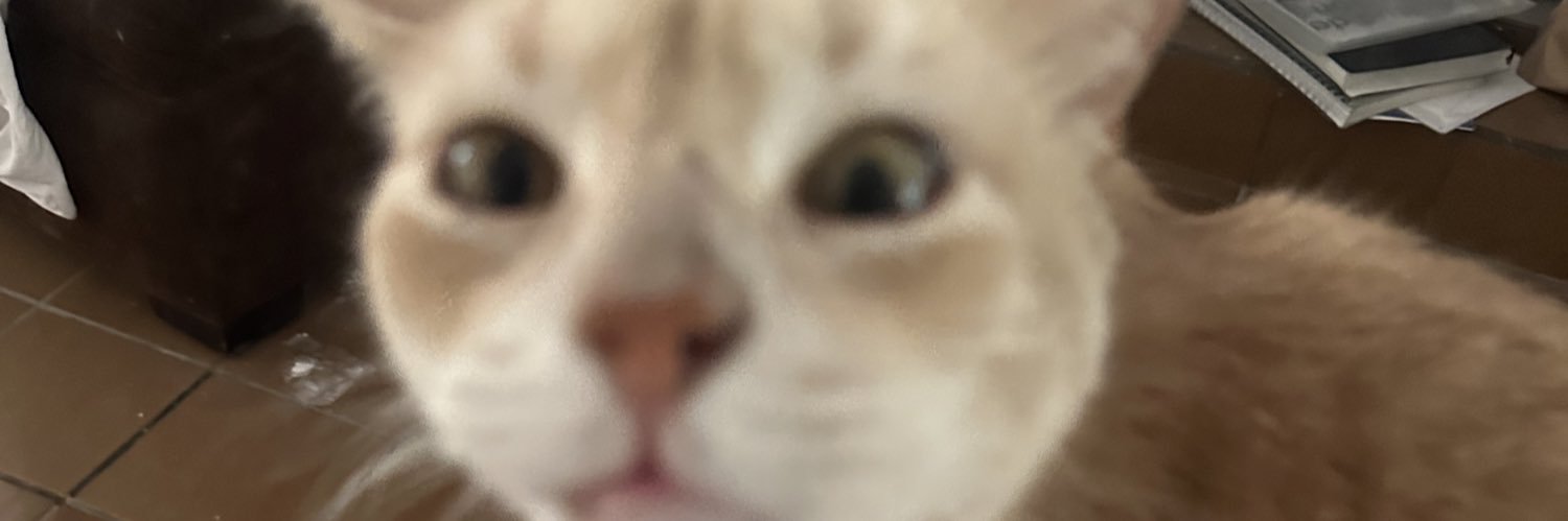 LuciaFdz7's profile banner image