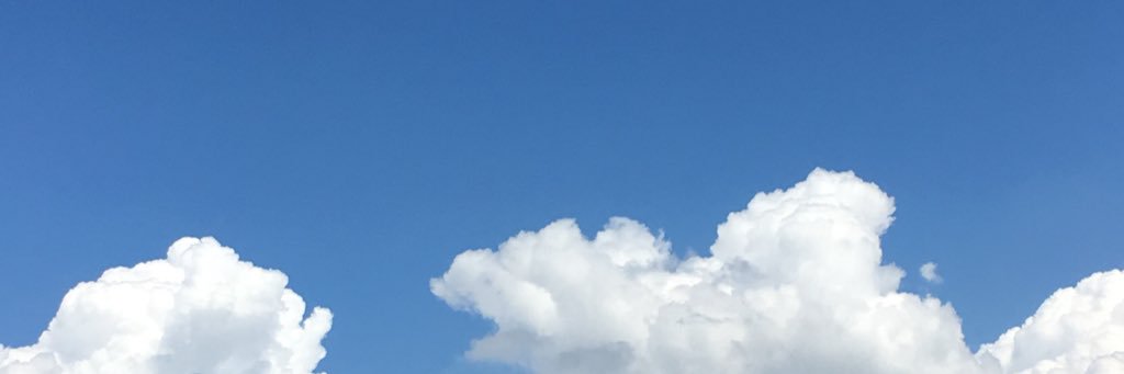 beeranran's profile banner image