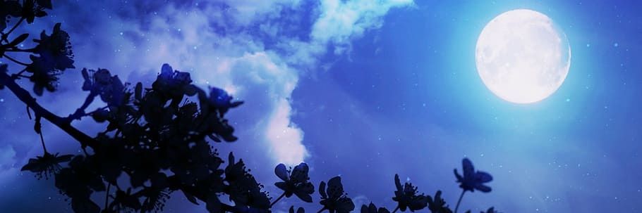 _DeadlockQueen_'s profile banner image