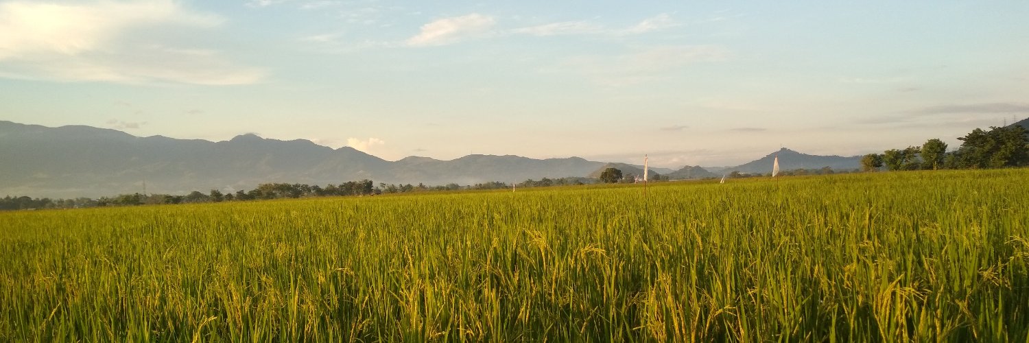 KevinDaus's profile banner image