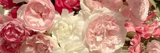 wenceekerr's profile banner image