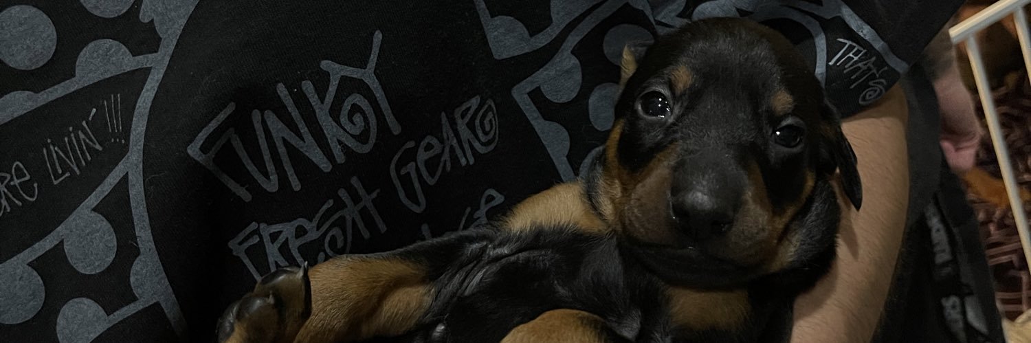 FLAWLESSERK's profile banner image
