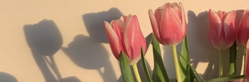 MeganPool_9's profile banner image